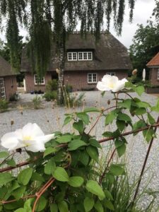 Stresshåndtering